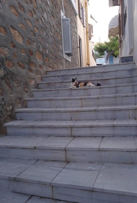 Syros Stone Yard House Βίλα Ερμούπολη Εξωτερικό φωτογραφία